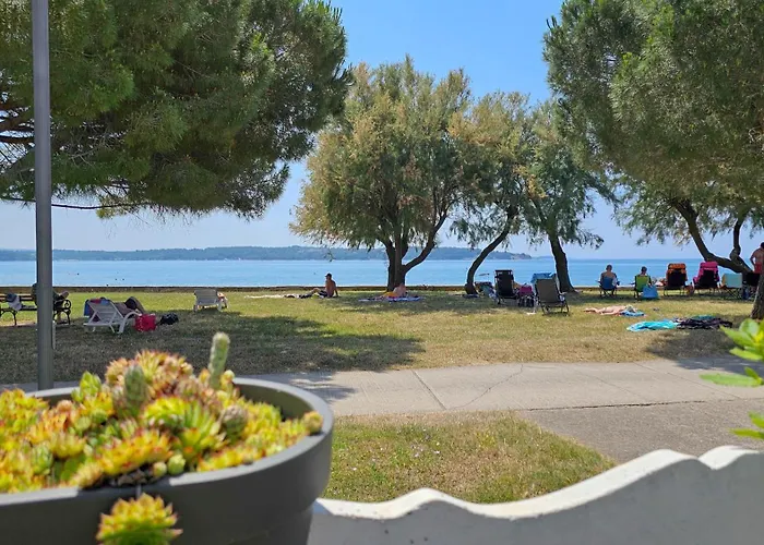 Pintar 1 * Novigrad Istria