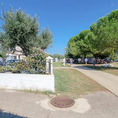 Pintar 1 Novigrad Istria