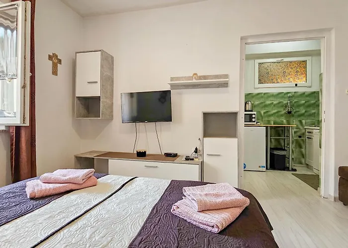 Pintar 1 Novigrad Istria