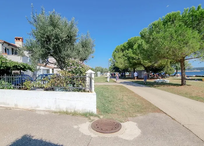 Pintar 1 Novigrad (Istria)