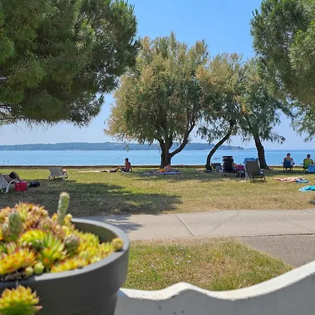 Pintar 1 * Novigrad Istria